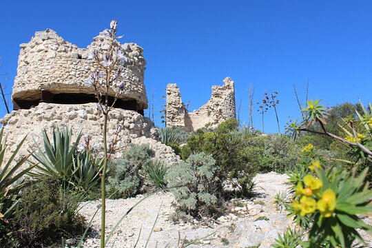Tour image 11