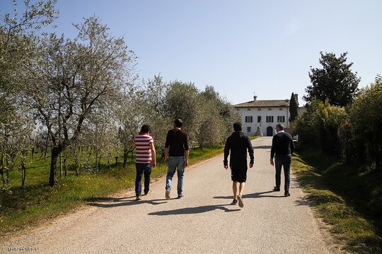 Tour image 1