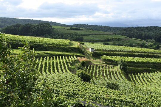 Tour image 5